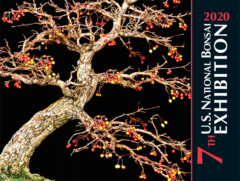 Commemorative Album - U.S. National Bonsai Exhibition